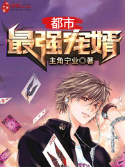都市最强宠婿